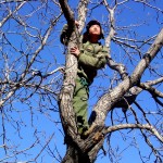 Yang Fudong, The Revival of the Snake - courtesy ShanghART Gallery